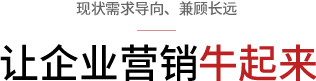 企業網站營銷